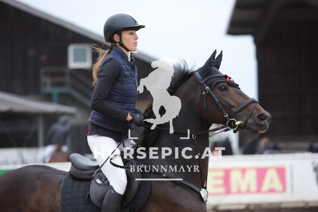 0P6A5500 | Willkommen bei Brunnmayr - Design & Fotografie – Ihrem Spezialisten für Reitturniere und Pferdeveranstaltungen in Oberösterreich, Salzburg und Bayern! Seit über 17 Jahren sind wir leidenschaftlich dabei.