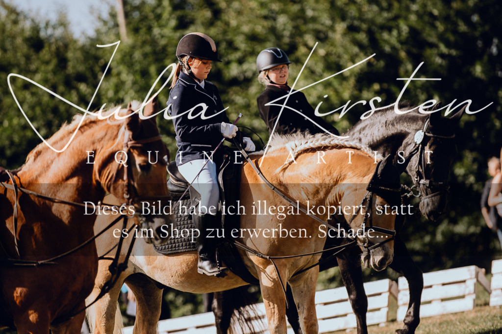 DSC_7012 | Pferde- und Turnierfotografie in Westsachsen. Pferdeportraits, Auftragszeichnungen und intuitive Kunst.