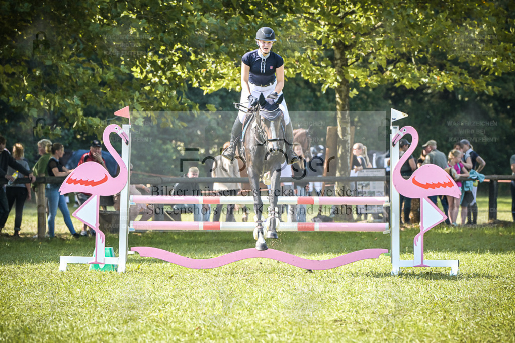 DOS_1205 | Entdecke hochwertige Reitturnierfotos von Foto Oger. Professionell, emotional und authentisch – jetzt Lieblingsmomente im Shop bestellen. - Realisiert mit Pictrs.com