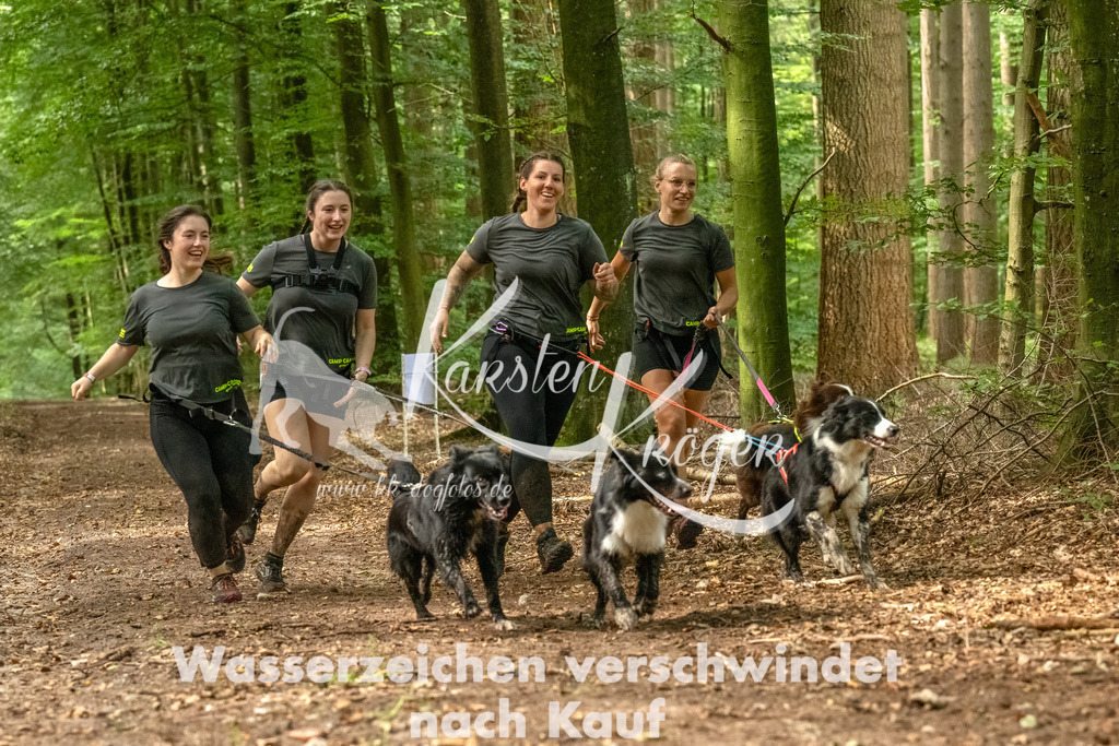 1346_ZZ93628-Bearbeitet | kk-dogfotos