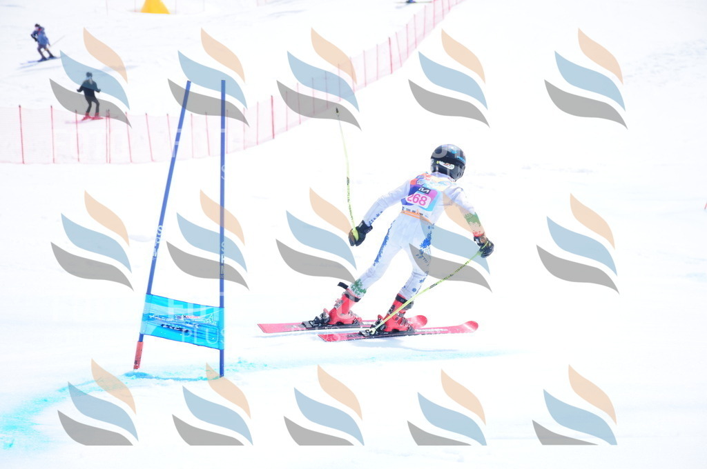 DSC_6398 | holidayphoto