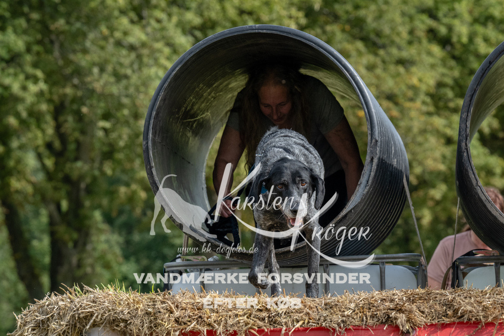 1140_ZZ90037 | kk-dogfotos