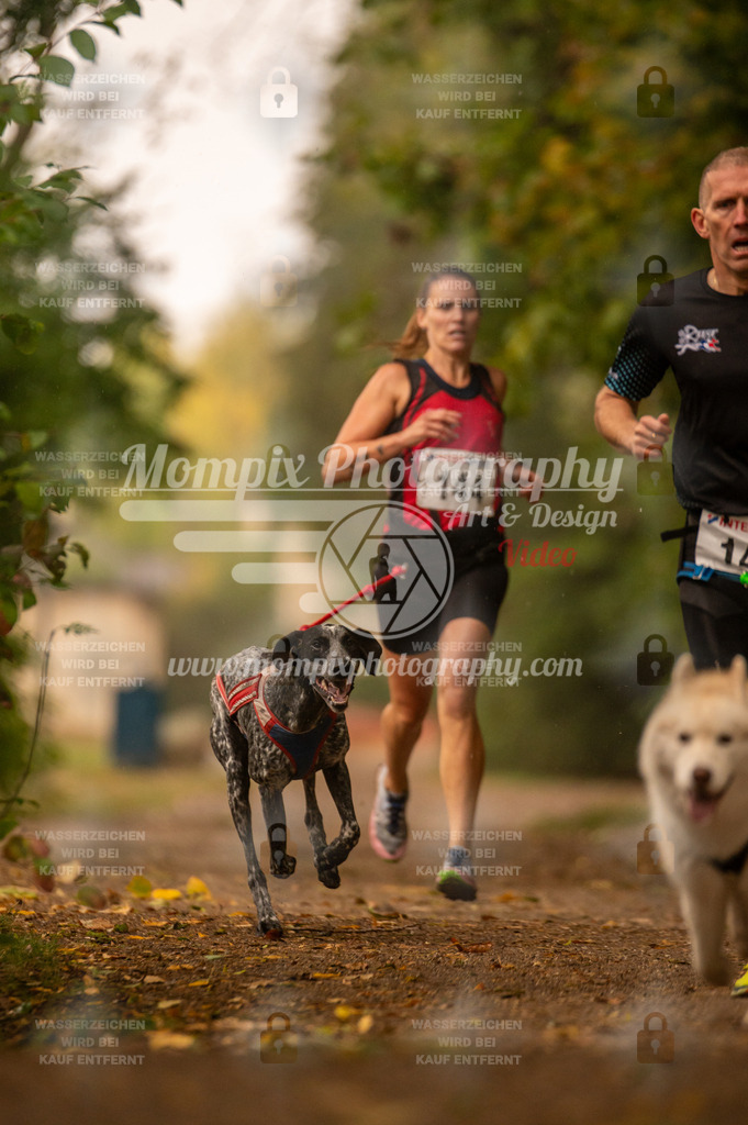 CDLBDB_14_10_2023_Samedi-231 | PayLife
