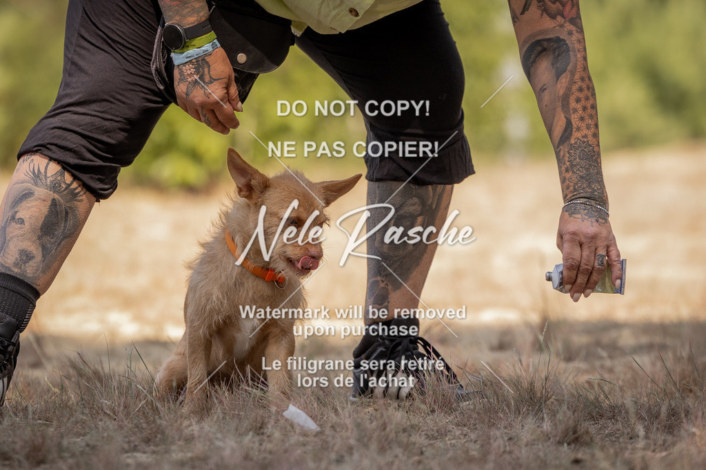nelerasche_soDD2_55 | nelerasche