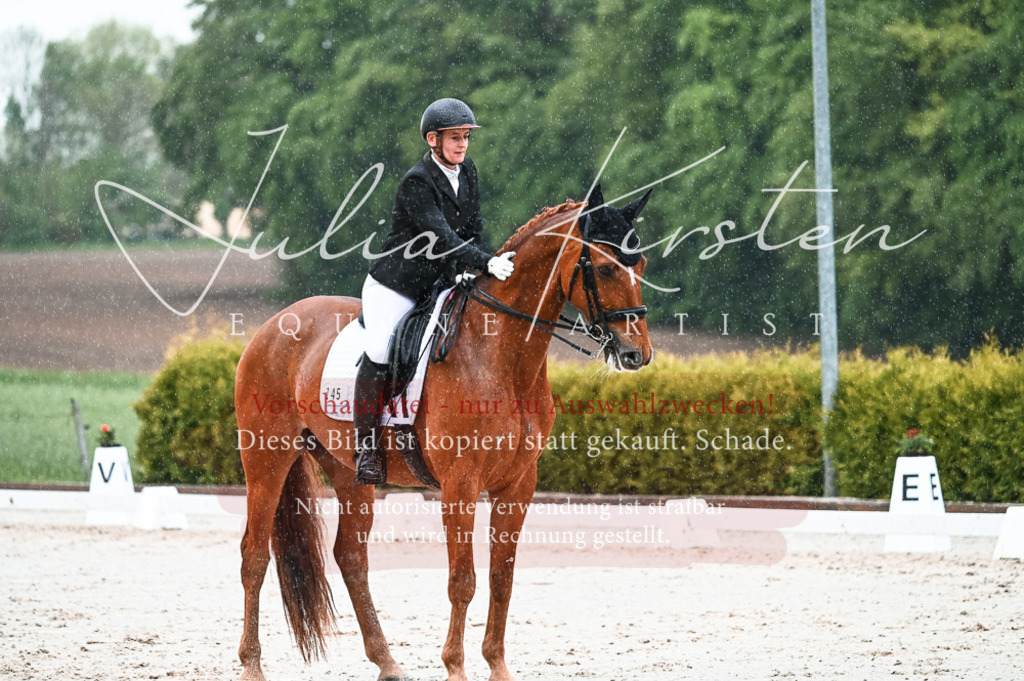 DSC_4443 | Pferde- und Turnierfotografie in Westsachsen. Pferdeportraits, Auftragszeichnungen und intuitive Kunst.