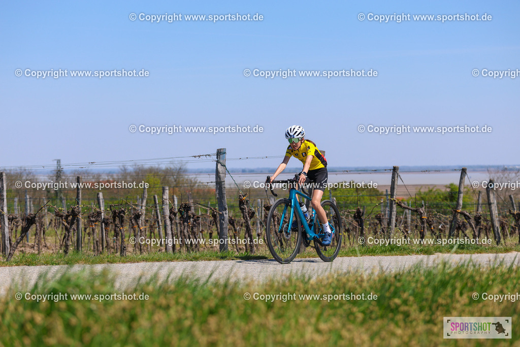 IMG_8884 | @sportshot_your_pictrs #yourpictures#roadtowm2029 #nrm #neusiedlerseeradmarathon #neusiedlersee #neusiedlerseetourismus #burgenland #mörbisch #nrm26 #burgenlandtourismus #voglundco #poweredbyburgenlandtourismus #radsport #rad #marathon #ucigranfondo #visitburgenland #ucigranfondoworldseries