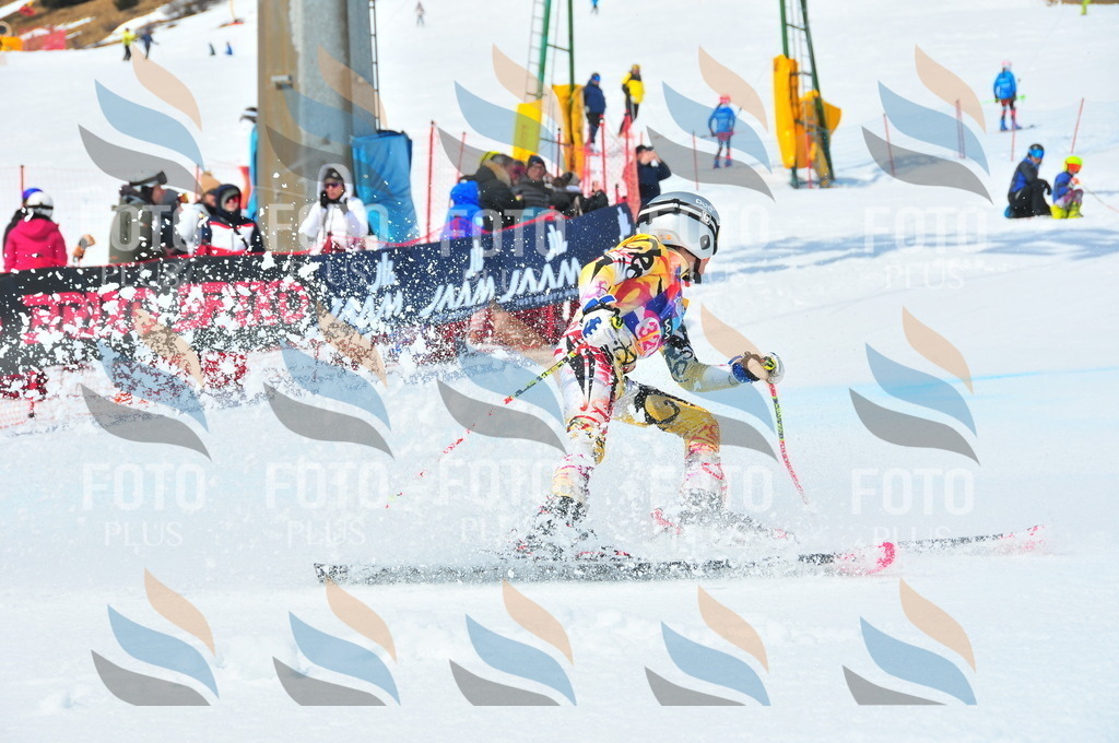 DSC_6770 | holidayphoto