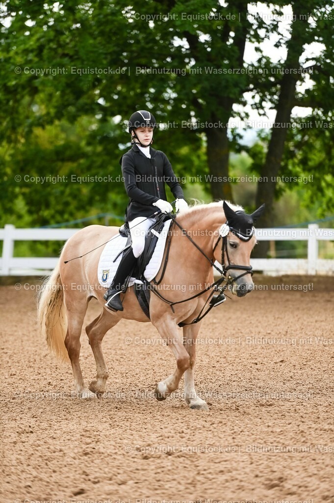 20230716_10-1_Reiter-WB Schritt - Trab - Galopp_0228 | equistock