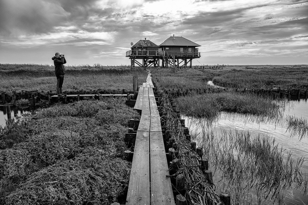 Vogelwart Nils Bayer auf Hallig Norderoog © Holger Rüdel | Der Online-Shop von Holger Rüdel. Ausgewählte Fotografien als FineArt-Prints bestellen: Bildreportagen, Landschaften, Wildlife, History, Infrarot-Motive in Schwarzweiß und Verschiedenes.  - Realisiert mit Pictrs.com