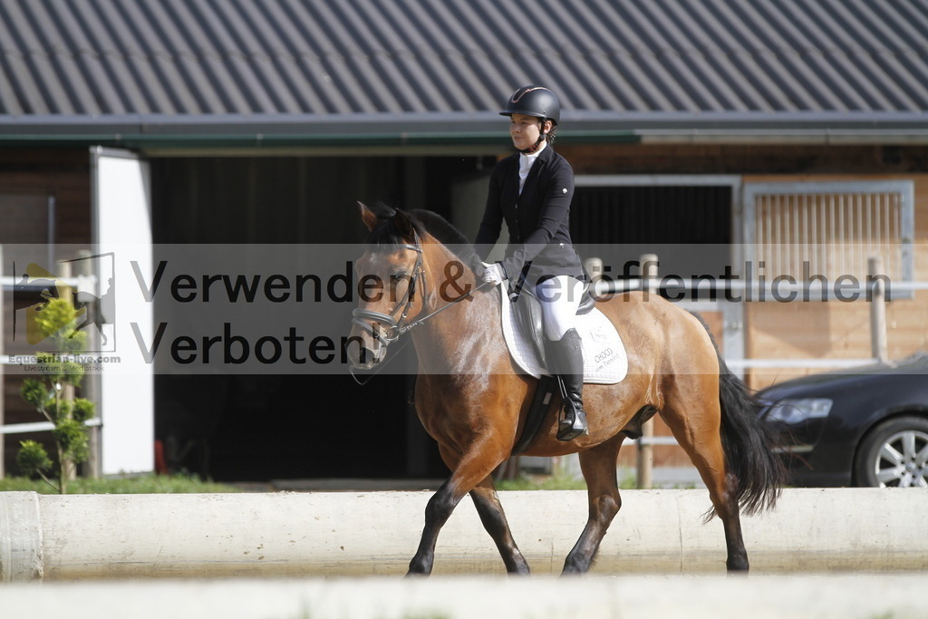 _MG_0271 | equestrian-live-com