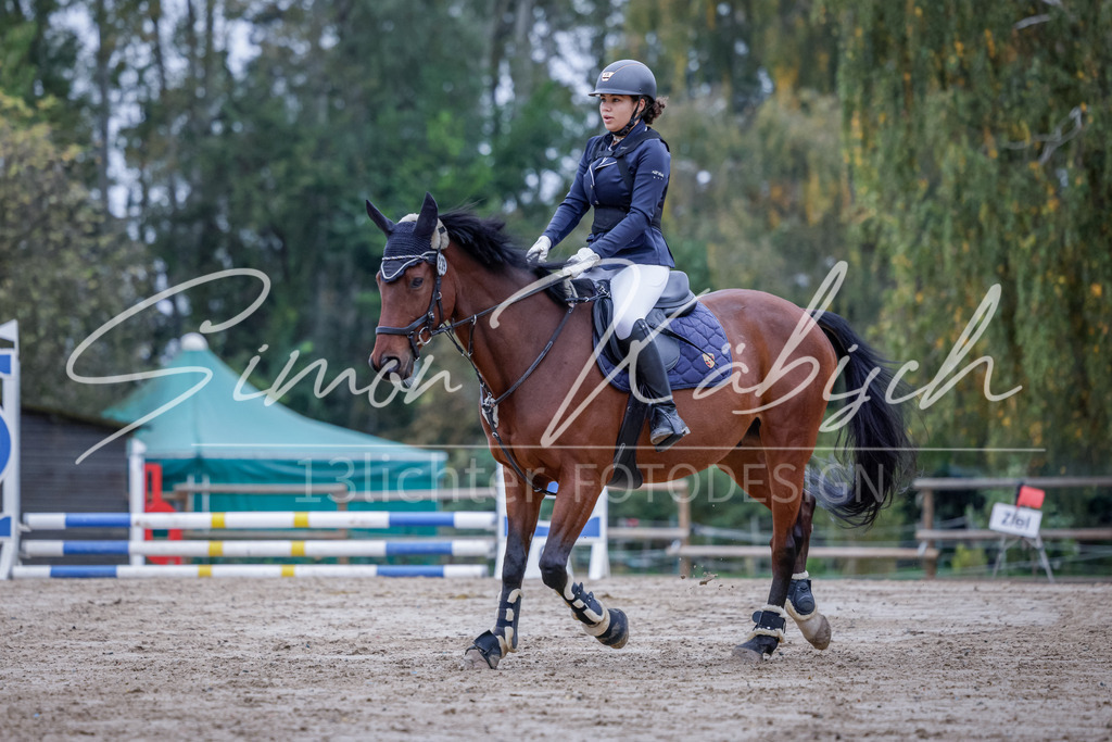 20251012-_3LI2749 | Tierfotografie Pferde, Hunde, Katzen, Haustiere.
Turnierfotografie Reitturniere, Reiten, Springreiten, Dressur in Hanau, dem Main-Kinzig-Kreis und dem Rhein-Main- Gebiet um Frankfurt