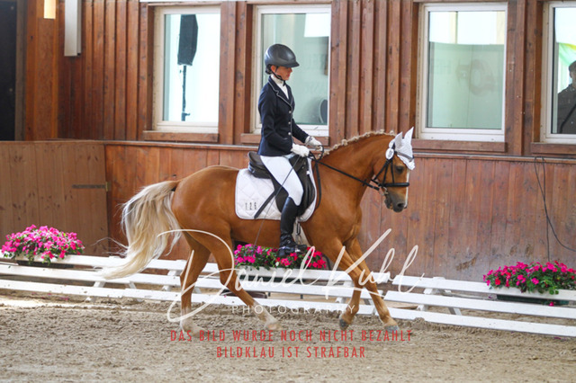 DKP45280 | Turniersportfotografie; Pferdefotografie; Dressurfotografie