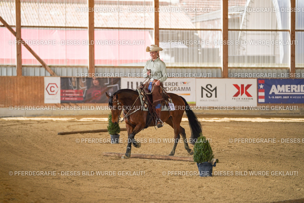 DSC06882 | Pferdegrafie