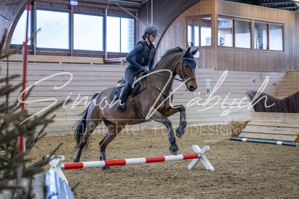 20260221-_3LI9001 | Tierfotografie Pferde, Hunde, Katzen, Haustiere.
Turnierfotografie Reitturniere, Reiten, Springreiten, Dressur in Hanau, dem Main-Kinzig-Kreis und dem Rhein-Main- Gebiet um Frankfurt