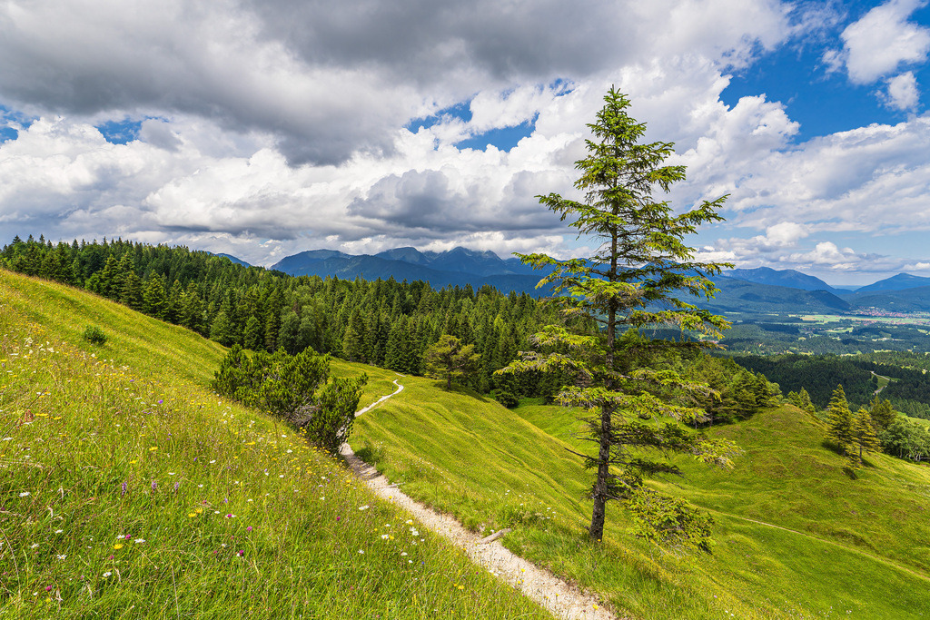 Blick vom Hohen Kranzberg auf das Estergebirge bei Mittenwald | Blick vom Hohen Kranzberg auf das Estergebirge bei Mittenwald.