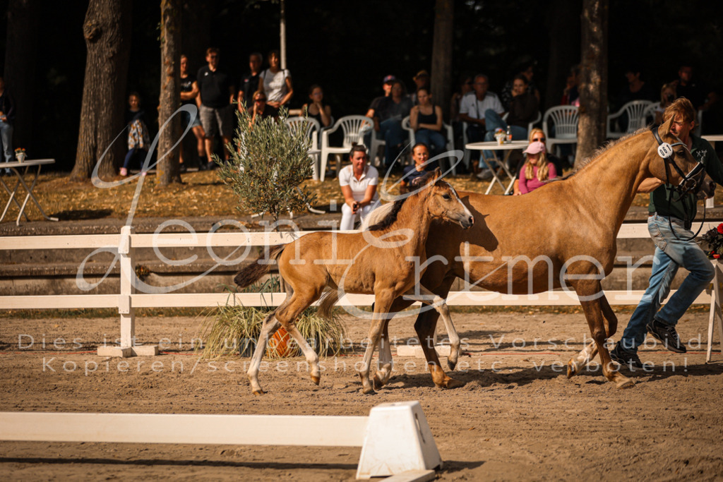 10.DoRP00150 | Leoni Ertmer Photography - Realisiert mit Pictrs.com