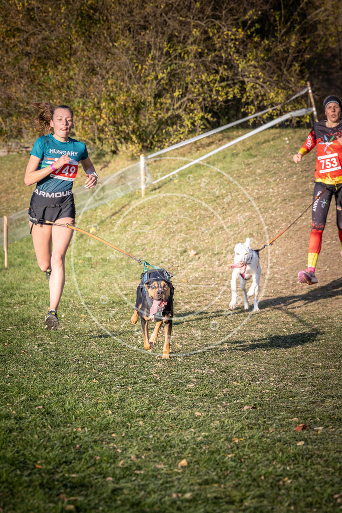 CaniXpix_0L8A9925 | Hundefotografie, Tierfotograf, Pfotenfotografie, Fotoshooting Hund, Hunde Portrait, Hundesport, Hundeportraits, Heideshooting, Hunde, Sportfotograf, Hundefotograf, Turnierhundsport, THS,  - Realisiert mit Pictrs.com