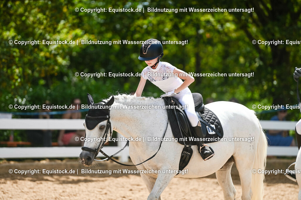 20230715_09_Dressur-WB_0099 | equistock