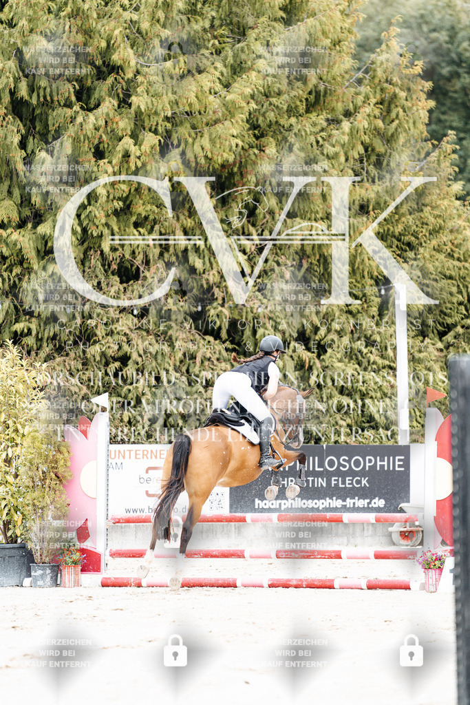 CK907854 | Turnierfotografie Pferdefotografie Trier Rheinland-Pfalz Pferdesport Reitsport Tierfotografie Sportfotografie Pferdevideo Pferdevideografie Equestrianvideography equestrianphotography  - Realisiert mit Pictrs.com