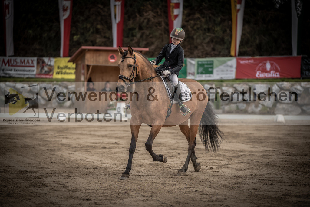 DSC_8420 | equestrian-live-com