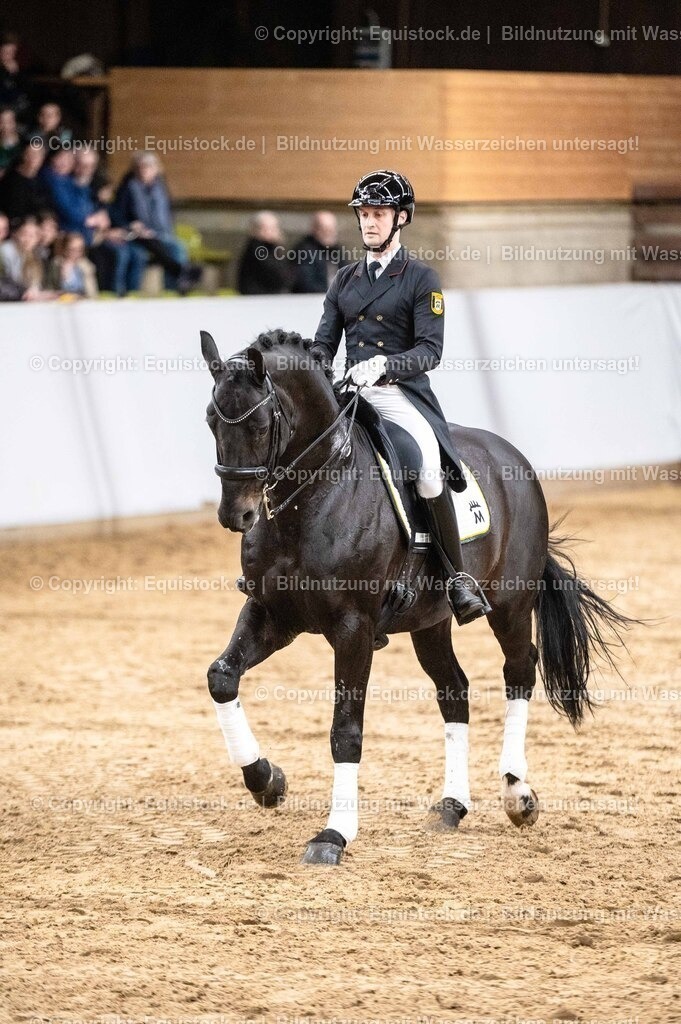 20260307_Hengstvorstellung-Marbach_0515 | equistock