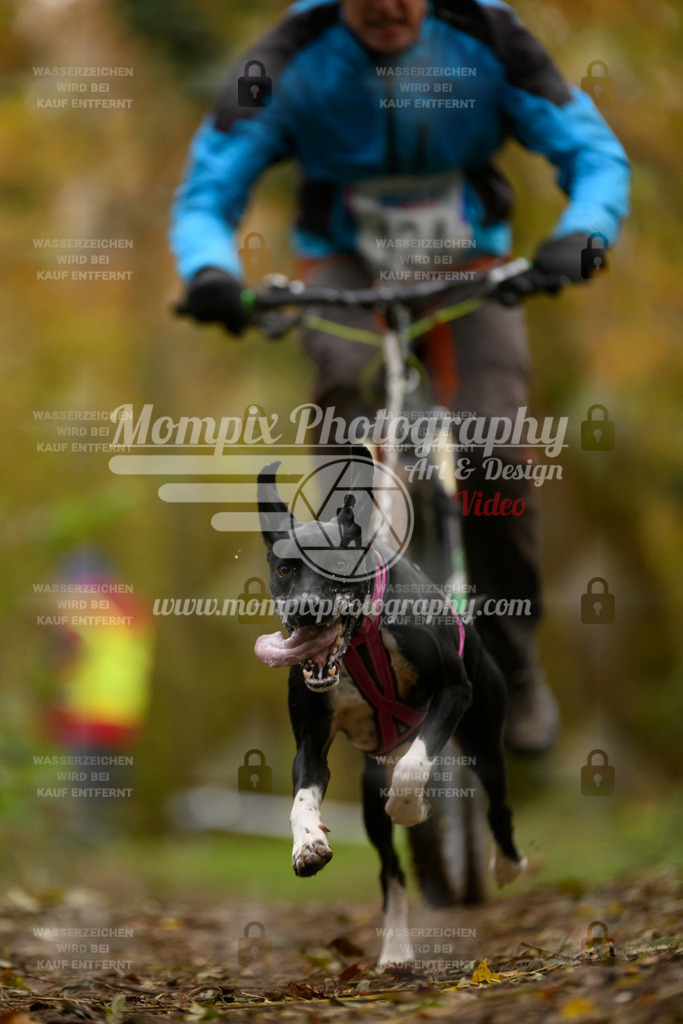 MompixPhotography_Bischwiller24_SA_VTT-52 | PayLife