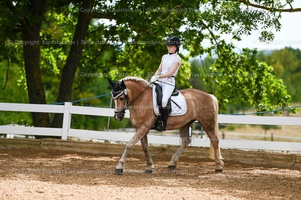 20230715_05_Dressurprüfung Kl.A++_0058 | equistock