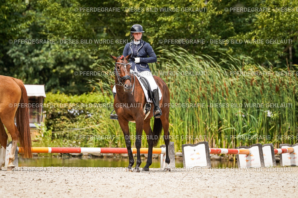 DSC04044 | Pferdegrafie