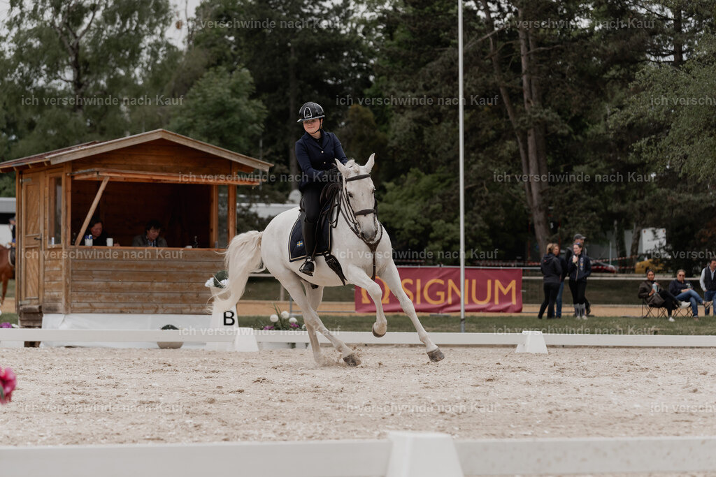 WE_DR_Stoib_328_PI2025_416 | Pferd International München 2025