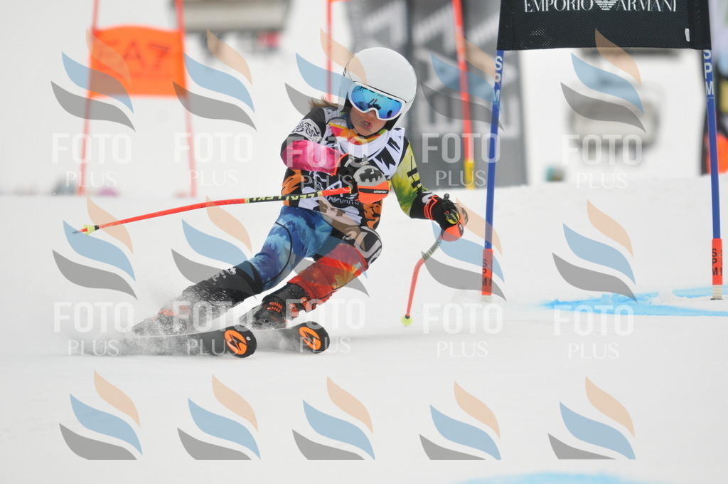 DSC_7497 | holidayphoto