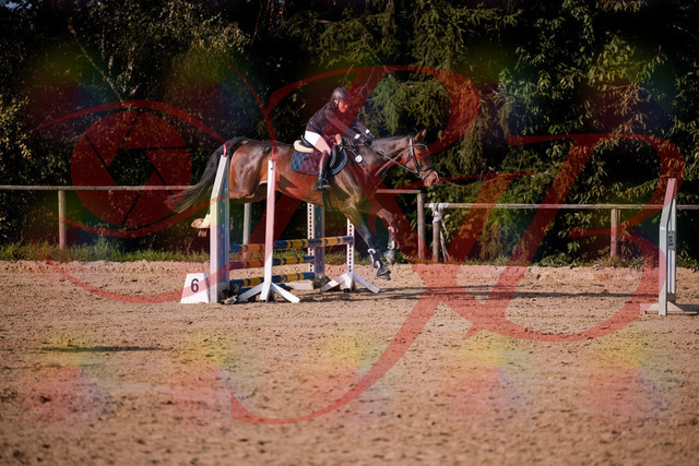 2026_10_03_Siefer-Hof_160007_Z81_80612127 | Professionelle Reitsport-, Turnier- und Eventfotografie von Robert Broda. Galerien mit ausgewählten und bearbeiteten Bildern direkt online ansehen und bestellen.