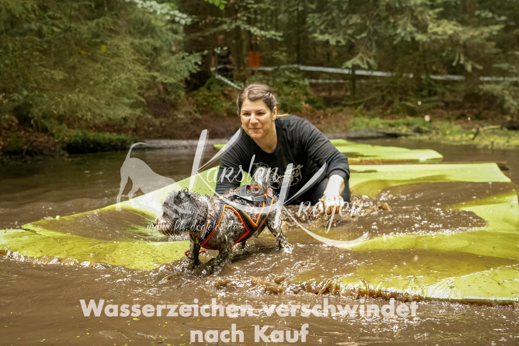 1217_ZZ93610-Bearbeitet | kk-dogfotos