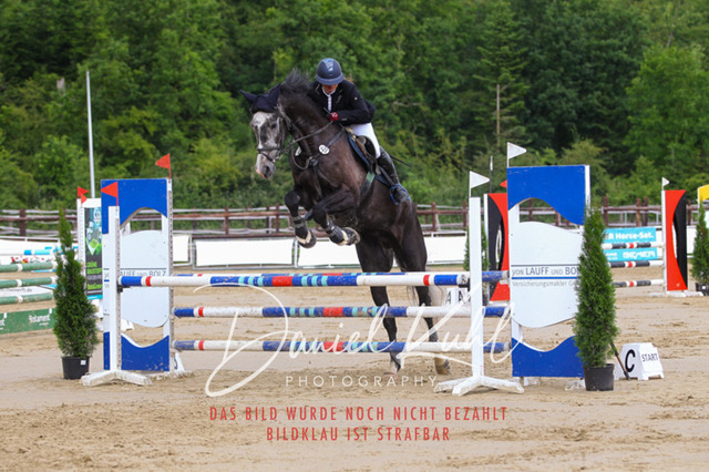 DKP41922 | Turniersportfotografie; Pferdefotografie; Dressurfotografie