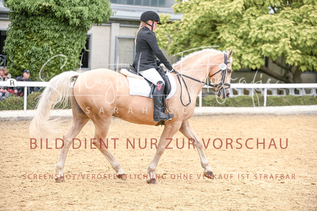 Schugtsche-Aluta25-44.DresssurreiterWB-154 | Schugtsche Fotografie - Realisiert mit Pictrs.com