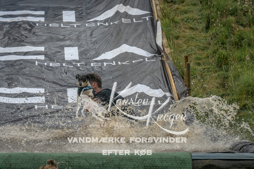 1543_ZZ90172 | kk-dogfotos