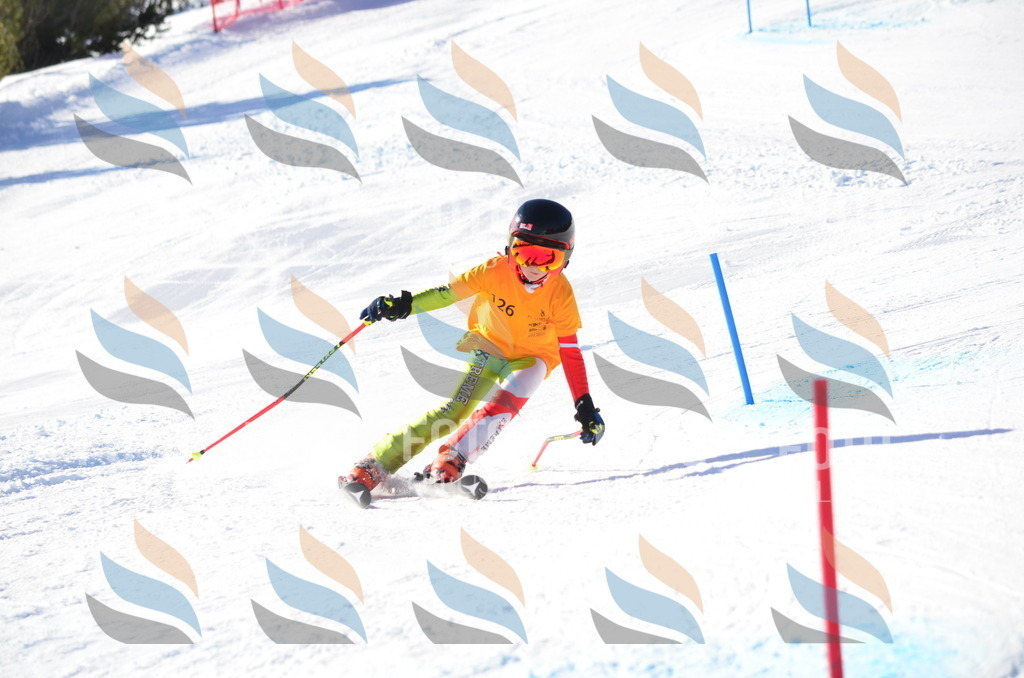 C6401 | holidayphoto