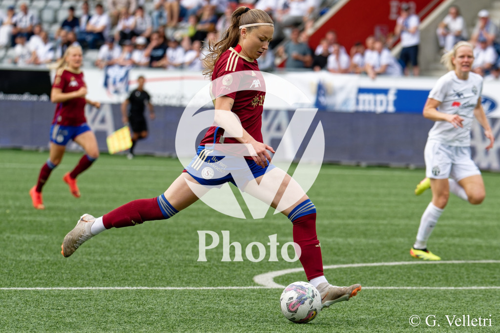 DSC_2664_1 | Velletri Photo