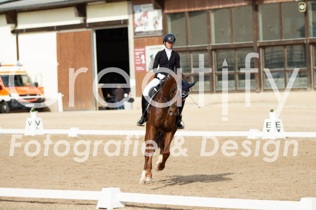 IMG_1014 | Creatify Fotografie