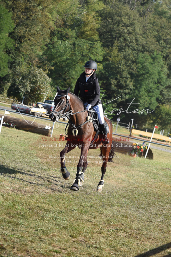 DSC_5373 | Pferde- und Turnierfotografie in Westsachsen. Pferdeportraits, Auftragszeichnungen und intuitive Kunst.