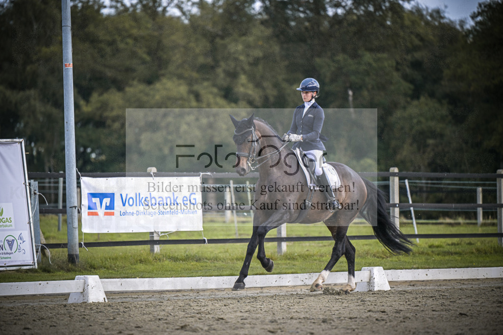 DOS_0139 | Entdecke hochwertige Reitturnierfotos von Foto Oger. Professionell, emotional und authentisch – jetzt Lieblingsmomente im Shop bestellen.Deutschlandweite Turnierfotografie. - Realisiert mit Pictrs.com