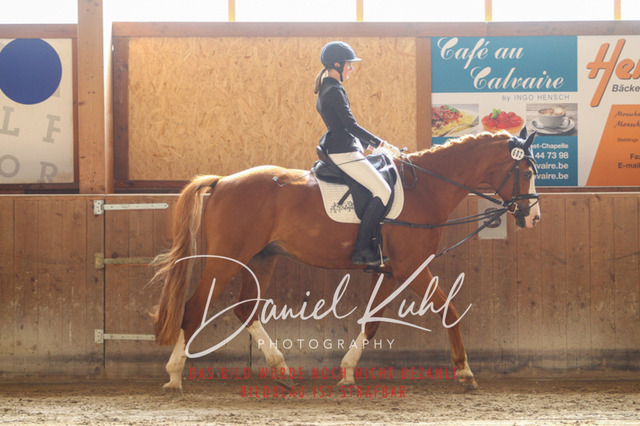 DKP45031 | Turniersportfotografie; Pferdefotografie; Dressurfotografie