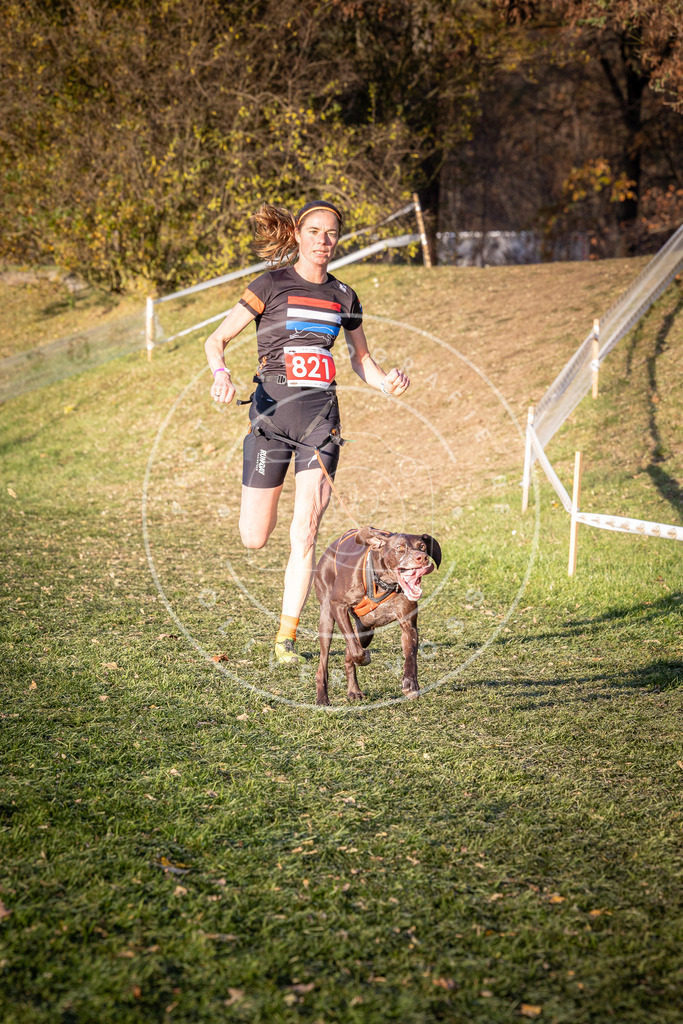 CaniXpix_0L8A0531 | Hundefotografie, Tierfotograf, Pfotenfotografie, Fotoshooting Hund, Hunde Portrait, Hundesport, Hundeportraits, Heideshooting, Hunde, Sportfotograf, Hundefotograf, Turnierhundsport, THS,  - Realisiert mit Pictrs.com