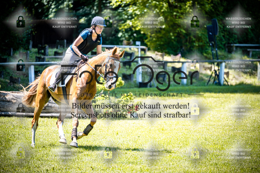 2026-05 - Melle Oldendorf-1-0032 | Entdecke hochwertige Reitturnierfotos von Foto Oger. Professionell, emotional und authentisch – jetzt Lieblingsmomente im Shop bestellen.Deutschlandweite Turnierfotografie. - Realisiert mit Pictrs.com
