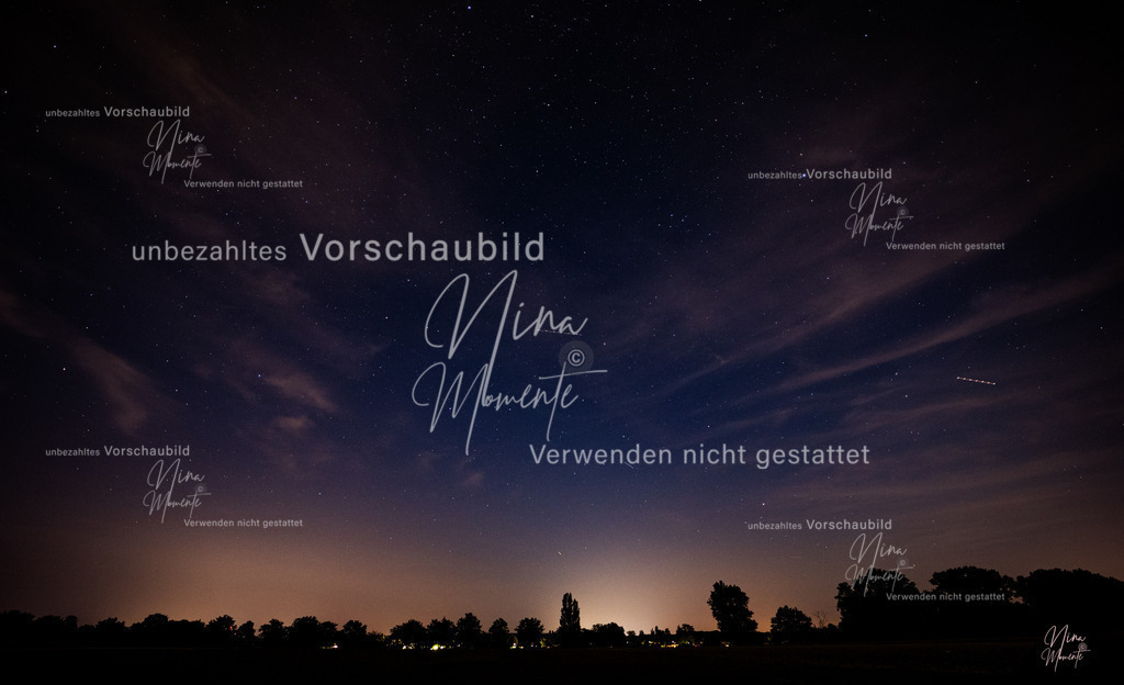 _16A7189-1 | Einzigartige Fotos von Hunden & Menschen –Actionfotos, Portraits, Vereinsaufnahmen & Paarshootings – authentisch, lebendig & mit Herz.