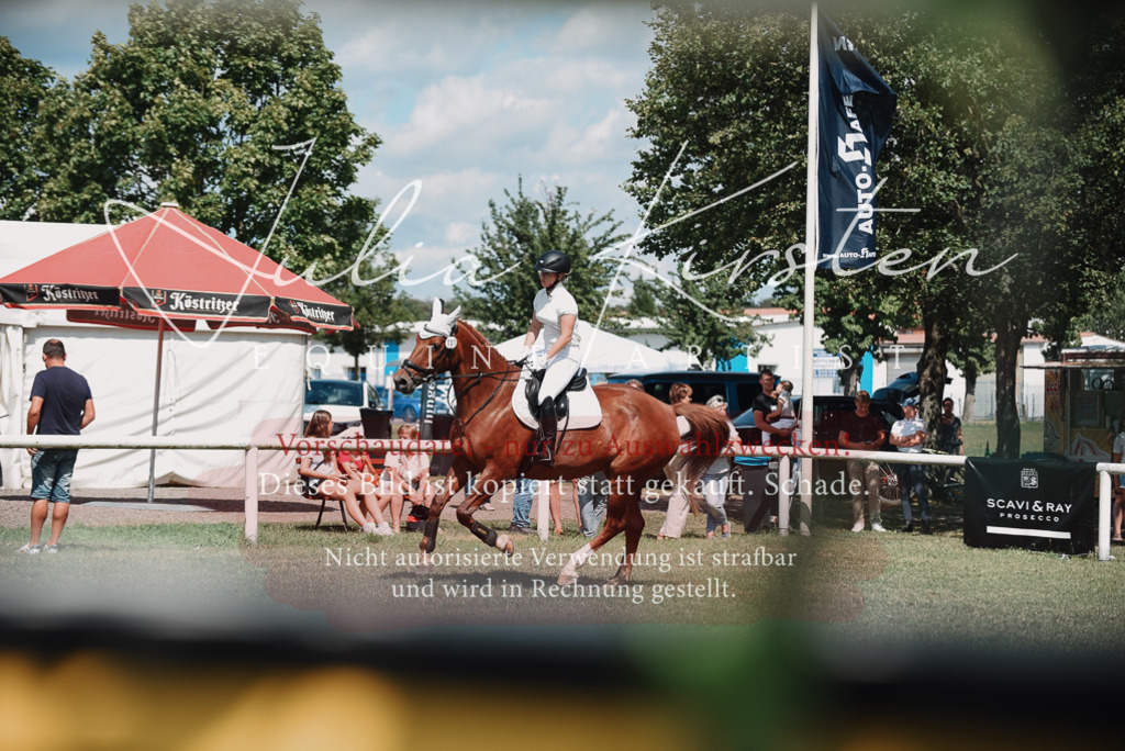 DSC_5768 | Pferde- und Turnierfotografie in Westsachsen. Pferdeportraits, Auftragszeichnungen und intuitive Kunst.
