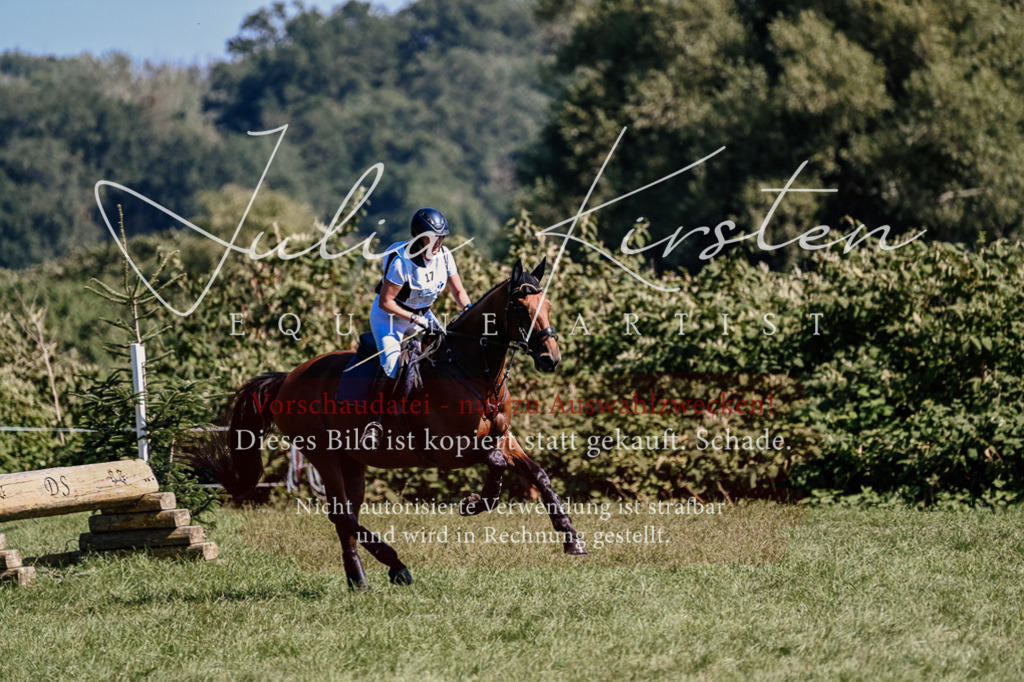 DSC_2003 | Pferde- und Turnierfotografie in Westsachsen. Pferdeportraits, Auftragszeichnungen und intuitive Kunst.