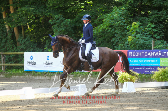 DKP42242 | Turniersportfotografie; Pferdefotografie; Dressurfotografie