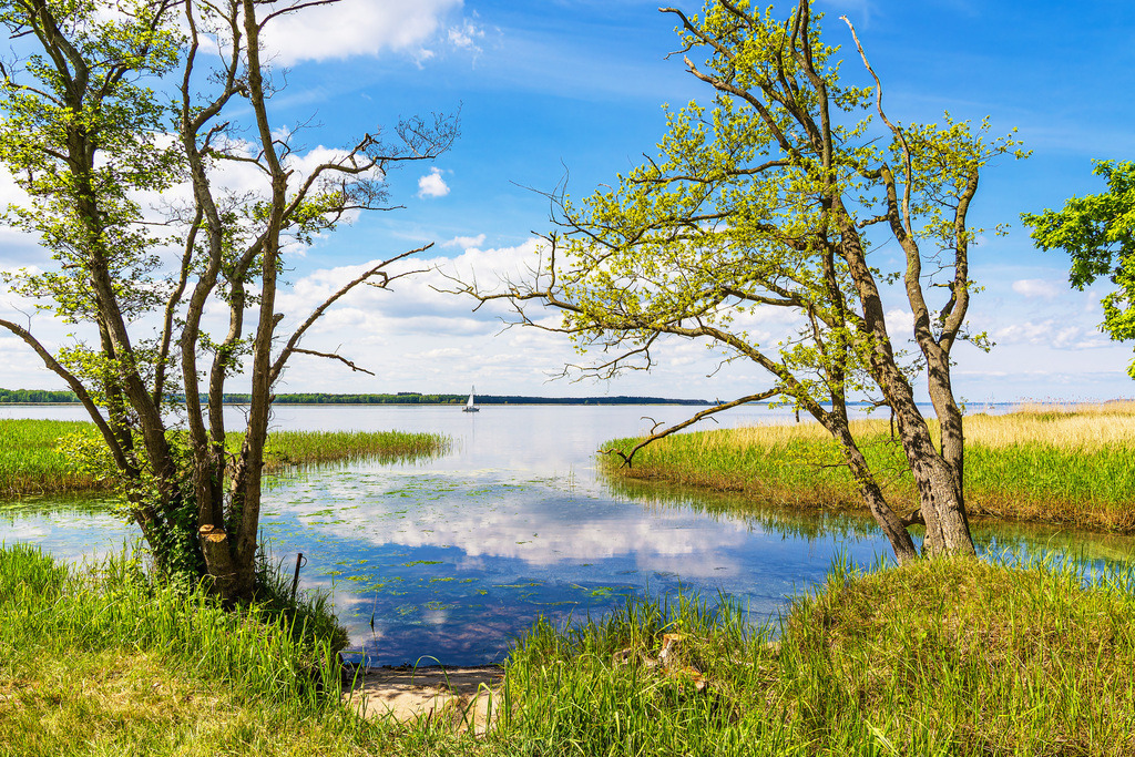 Landschaft am Achterwasser bei Warthe auf der Insel Usedom | Landschaft am Achterwasser bei Warthe auf der Insel Usedom.