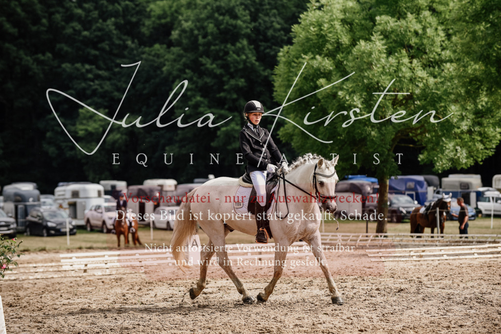 DSC_9449 | Pferde- und Turnierfotografie in Westsachsen. Pferdeportraits, Auftragszeichnungen und intuitive Kunst.