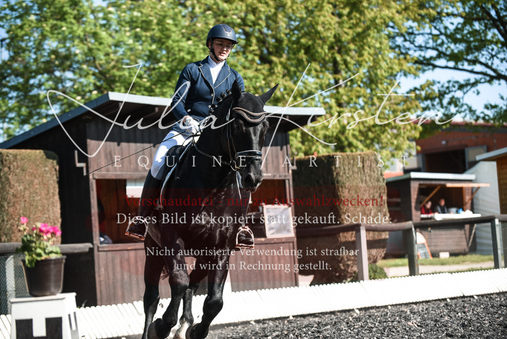 DSC_8483 | Pferde- und Turnierfotografie in Westsachsen. Pferdeportraits, Auftragszeichnungen und intuitive Kunst.